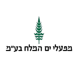 Dead Sea Enterprises Ltd